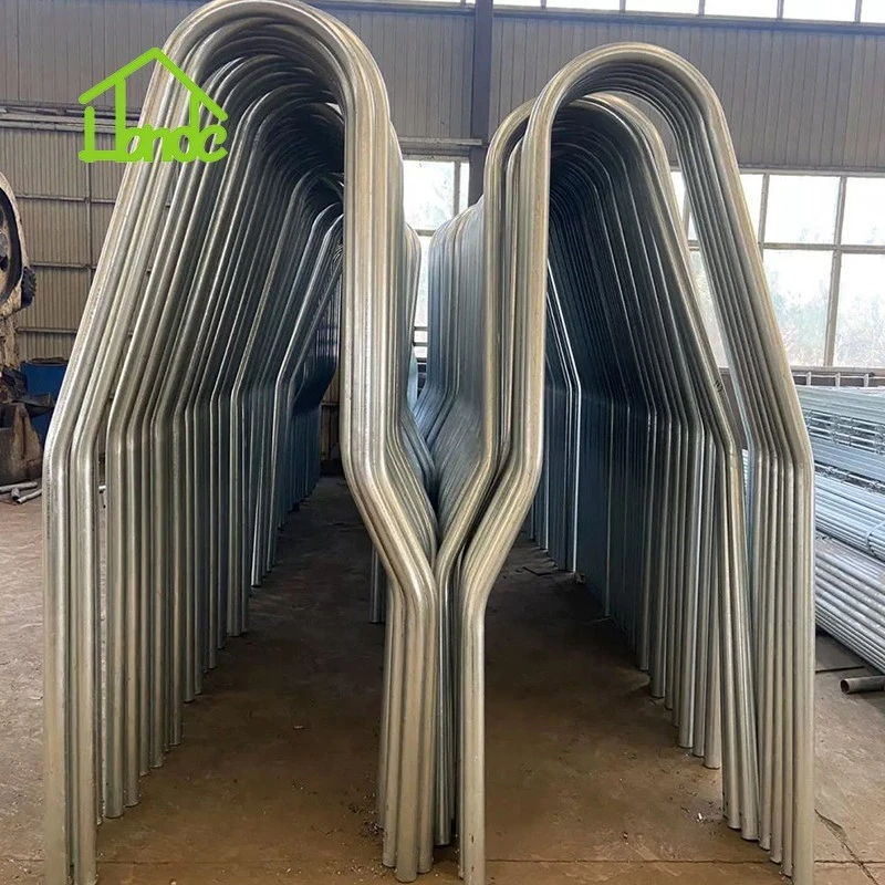 4-Bend Cattle Freestall Loop Divider suppliers